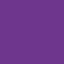 043 Violet Dark